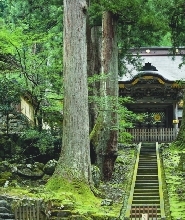 【金澤出發】永平寺＆福井城一日遊