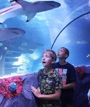 康斯坦茨海洋生物館門票