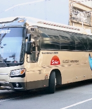 馬尼拉 - 海豚灣渡輪＆巴士票（往返／單程）