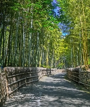 漫步京都西部之旅：嵐山&金閣寺&古星一日遊