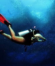 宿務PADI開放水域潛水課程（PADI五星級潛水中心）