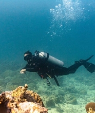民答那峨錫亞高島 PADI 潛水中心潛水體驗（2次）