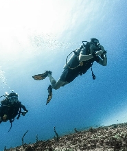 錫亞高島 PADI 潛水中心開放水域潛水員課程（1對1指導）