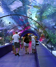 安塔利亞水族館和蠟像館門票