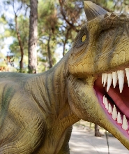 安塔利亞恐龍公園門票