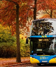 萊比錫隨上隨下觀光巴士