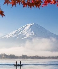 【東京出發】河口湖客製化私人一日遊