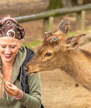 【大阪出發】奈良一日遊（含當地導遊）