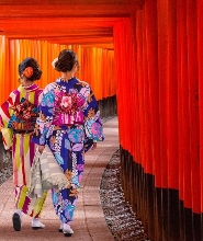 【大阪港出發】京都一日遊（含當地導遊）