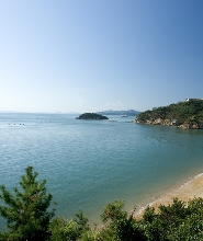 【宇野/高松出發】直島一日遊（含騎行或公共巴士）