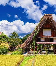 【名古屋出發】白川鄉世界遺產&高山徒步私人遊