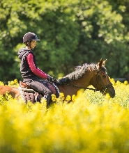 馬爾馬里斯國家公園騎馬體驗