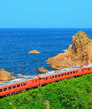 【東京出發】伊豆大室山/仙人掌公園＆觀海列車(含票)＆城崎海岸一日遊 (9人小團)