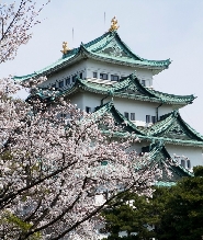 搭乘當地火車，探索武士之城愛知縣的城堡之旅