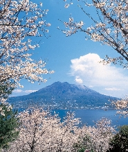 鹿兒島佐倉島半日火山之旅