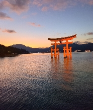 廣島宮島4小時包車遊