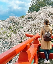 【福冈出发】有田陶瓷公园&武雄温泉&佑德稻荷神社＆大鱼神社一日游
