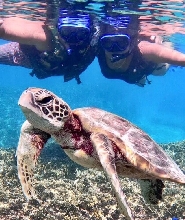 沖繩宮古島浮潛&洞穴探險體驗