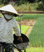 越南會安奧黛騎手帶遊 Tra Que + 清哈陶器 + 金錦村之旅