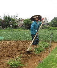 會安半日私人鄉村與村莊之旅
