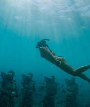 大邱自由潛水一日課程體驗