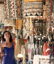 斐濟南迪精華景點之旅