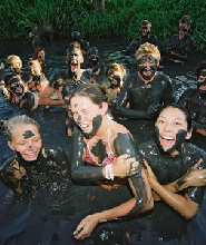 斐濟南迪泥巴浴＆花園之旅