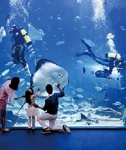一山韓華 Aqua Planet 水族館門票