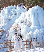 草莓採摘／南怡島／鐵道自行車一日遊