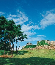 水原華城首爾之旅