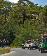 博德魯姆：含午餐和飯店接送的全日吉普車野生動物園