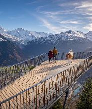 哈德庫爾姆 - 因特拉肯山頂纜車票