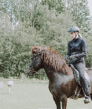 黃金圈＆Fridheimar 農場之旅（雷克雅維克出發）