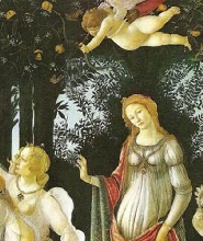 佛羅倫斯烏菲茲美術館快速通關門票＆導覽