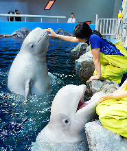 麗水Aqua Planet 水世界門票