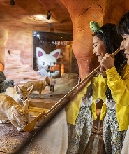 首爾Zoolung Zoolung室內動物主題樂園門票