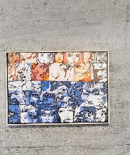 雷克雅維克城市觀光通票