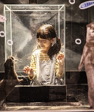 慶州Zoolung Zoolung室內動物主題公園門票