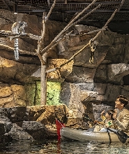 京畿道東灘Zoolung Zoolung室內動物主題公園門票