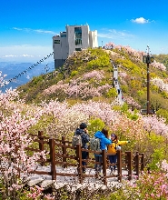 釜山：冰谷纜車與聯合國教科文組織自然探索之旅