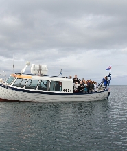 雷克雅維克海鸚快船之旅