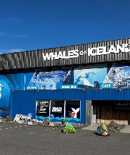 雷克雅維克冰島鯨魚博物館門票