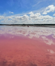 3天粉紅湖、卡爾巴里和瑪格麗特河導覽遊