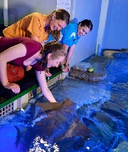 凱恩斯水族館海洋生物邂逅之旅
