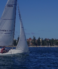 悉尼港帆船體驗（曼利出發）