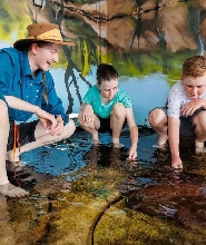 達爾文黃貂魚互動體驗