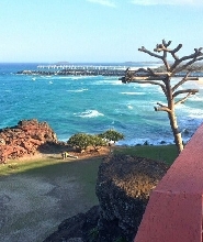 黃金海岸可倫賓野生動物保護區半日遊