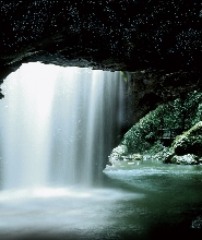 自然橋春溪國家公園螢火蟲夜遊