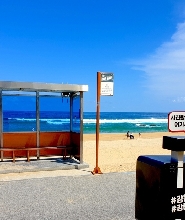 江陵BTS巴士站與香港Arte M全日私人之旅