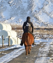在Hveragerdi的Reykjadalur温泉蒸汽谷騎馬